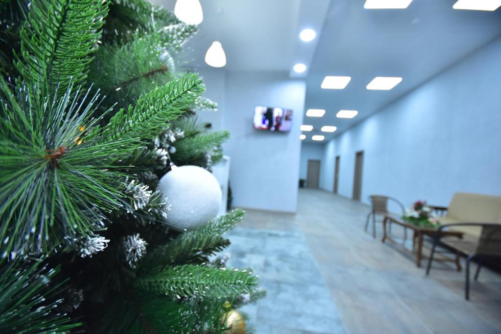 LIBERECO room 5